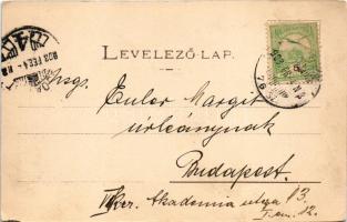 1903 Ada Kaleh, Török sziget Orsova alatt. Hayri és Ahmed kiadása / Turkish island (EK)