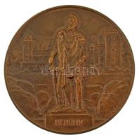 Franciaország ~1900. "Ville de Pau / Henri IV" bronz emlékérem gravírozással. Szign.: PR(?...