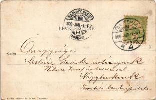 1906 Temesvár, Timisoara; Színház. Káldor Zs. és Társa kiadása / Theater / theatre (kopott sarkak / ...