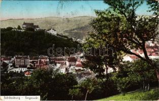 1913 Segesvár, Schässburg, Sighisoara; látkép. W. Nagy kiadása / general view (EK)