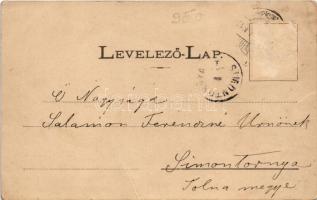 1901 Zilah, Zalau; Városi vigadó, üzletek. Seres Samu kiadása / restaurant, shops (EB)