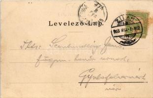 1903 Zilah, Zalau; Református főgimnázium. Seres Samu kiadása / Calvinist grammar school (fl)