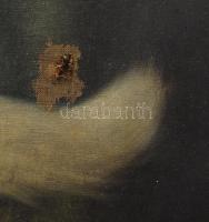 Heyer Artúr (1872-1931): Játszó cicák. Olaj, vászon, sérült, lyukas. 55x70 cm Dekoratív keretben