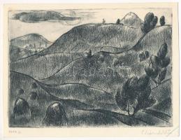 Pohárnok Zoltán (1905-1976): Táj. Rézkarc, papír, jelzett XXXIX/1 13x18 cm