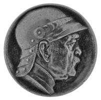 Német Birodalom 1895. "Bismarck / 1895. Április 1." jelzetlen Ag emlékérem Bismarck 80. születésnapjára. Szign.: A.H. (16,83g/30mm) T:XF German Empire 1895. "Bismarck / 1. April 1895" unmarked Ag commemorative medallion for the 80th birthday of Bismarck. Sign.: A.H. (16,83g/30mm) C:XF