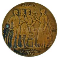 Berán Lajos (1882-1943) 1933. "TESZ (Társadalmi Egyesületek Szövetsége) - Nemzeti Munkahét" kétoldalas, bronz emlékérem (60mm) T:XF,VF, patina TP 232.