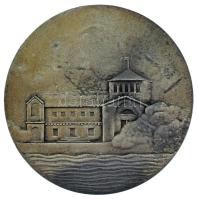 1962. "Csehszlovákia-Ukrajna-Magyarország - Tatabánya 1962. aug. 18-19." kétoldalas Zn atl...