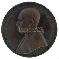 Vatikán 1954. "PIVS XII PONTIFEX MAXIMVS ANNO XVI / MARIALEM ANNVM RELIGION AVSPICATVRI" kétoldalas bronz emlékérem. Szign.:"Mistruzzi" (44mm) T:XF Vatican 1954. "PIVS XII PONTIFEX MAXIMVS ANNO XVI / MARIALEM ANNVM RELIGION AVSPICATVRI" two-sided bronze commemorative medallion. Sign.: Mistruzzi (44mm) C:XF