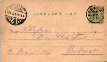 1904 Fogaras, Fagaras; vár, Ferenc József tér, Megyeház, Sterczing utca, Városliget. Szecessziós-vir...