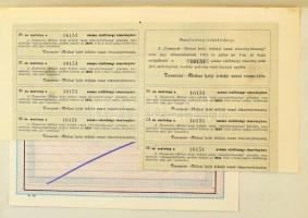 Budapest 1896. "Temesvár - Módosi Helyi Érdekü Vasut Részvénytársaság" elsőbbségi részvény...