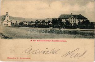 Erzsébetváros, Dumbraveni; M. kir. honvéd laktanya. Mühlsteffen G. kiadása / K.u.K. military barracks (vágott / cut)