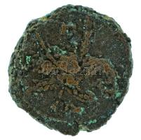 Római Birodalom 278-279. Probus / Egyiptom / Alexandria Tetradrachma bronz (6,28g) T:VF Roman Empire 278-279. Probus / Egypt / Alexandria Tetradrachm bronze "A K M AUR PROBOS SEV" Eagle standing right with wreath in its beak, palm branch behind (6,28g) C:VF