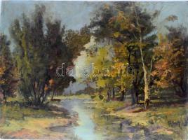 Neogrády jelzéssel: Erdei táj. Olaj, karton, sérült, feltehetően átfestve 56x77 cm