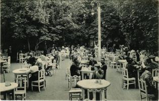Nagyszeben, Hermannstadt, Sibiu; Conditorei Erlenpark / cukrászda, pincérek és vendégek a kertben. Czelnai felvétele / confectionery, garden with guests and waiters (EK)