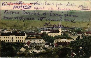 1909 Szilágysomlyó, Simleu Silvaniei; látkép a fenyvessel. Sternberg Ignác kiadása / general view with pine forest (EK)