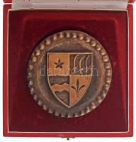 1970-1980 k. "Mohács Város Tanácsától" kétoldalas, öntött bronz plakett, eredeti tokban (1...