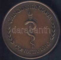 DN "Chinoin Hungaria" Br emlékérem T:BU