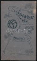 cca 1910 Női portré, keményhátú fotó Knauer brassói műterméből, szecessziós hátoldallal, foltos, 10,...