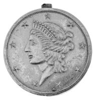 Amerikai 1 Dolláros mintájára készült benzines öngyújtó használt állapotban