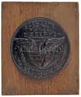 1935. "Szolnoki MÁV SE Díszérme 1910-1935" öntött bronz emlékérem (97mm) fa talapzaton (126x151x39mm). Az emlékérmet az 1910-ben alapított Szolnoki MÁV fennállásának 25. évfordulója alkalmából adták ki. A klub rendelkezik atlétika, birkózás, kosárlabda, ökölvívás, szumó, súlyemelés, természetjárás, teke és vívás szakosztállyal is, de a leghíresebb természetesen a labdarúgó szakosztály. 1911-ben indult először a labdarúgó-bajnokságban, végig a másodosztályban szerepeltek (jórészt bajnokok lettek saját csoportjukban, vagy ezüstérmet szereztek), ám először csak 1937-ben jutottak fel az élvonalba. Itt egészen 1948-ig szerepeltek, gyakorlatilag megszakítás nélkül, ezen időszak csúcsa pedig az 1942-ben szerzett bronzérem, illetve az egy évvel korábban, a Salgótarján ellen aratott Magyar Kupa győzelem. Magyarország 1942-ben belesodródott a második világháborúba, ez megtörte a klub fejlődésének lendületét, 1943-ban és 1944-ben is már csak a 8. helyen végeztek, majd a béke után újrainduló bajnokság mindkét idényében csak nagyon nehezen maradtak benn. 1948-ban aztán eljött a kiesés, ami után a klub hosszú évtizedekre stabilizálta helyét a másodosztályban (bár néhány szezont eltöltött a harmadosztályban is). 2010-ben aztán 62 év után feljutottak az NB I-be, igaz, ez tiszavirág-életű szereplés volt, hiszen azonnal búcsúztak is. Az elmúlt évek sem a sikerekről szóltak Szolnokon, 2019-ben kiestek az NB II-ből is, bár akkor még egyből sikerült visszajutniuk, a 2022-es kiesés után már nem, sőt, 2025-ben az NB III-ból is kiestek, ígya nagy múltú Szolnoki MÁV soha nem látott mélységbe zuhant. T:XF