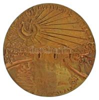Mladonyiczky Béla (1936-1995) 1969. "Kőrös-Menti Kulturális Hetek" egyoldalas, öntött bronz plakett (94mm) T:AU,XF