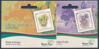 2007 Virág XIII. - Nemzetközi postakész termékek 2 klf bélyegfüzet (postázható érték 10.700)