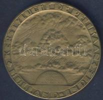 Holland-Kelet-India 1933. "Pelikánok karácsonyi repülése" Br emlékérem T:2