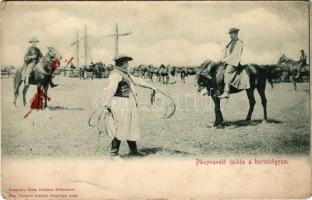 Hortobágy, pányvavető csikós, magyar folklór. Pongrácz Géza kiadása, Kiss Ferenc felvétele után (EB)