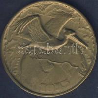 Holland-Kelet-India 1933. "Pelikánok karácsonyi repülése" Br emlékérem T:2