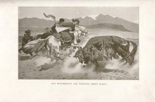 Hedin, Sven: Transzhimalája. Felfedezések és kalandok Tibetben. A kézirat nyomán svéd eredetiből átd...