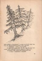 Bátori Irén, Z.: Erős Matyi és más mesék. Róna Emy rajzaival.
Budapest, [1948]. Dante Könyvkiadó (M...