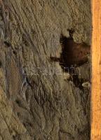 Beregi O jelzéssel: Téli táj. Olaj, vászon, sérült. Dekoratív, kissé kopott fakeretben. 55x70 cm