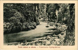 Gyergyószentmiklós, Gheorgheni; O parte dela Lacul ucigas, Poarta iadului cu cararea / részlet a Gyilkostóról, Pokol torka Gyalogjáróval. Walter Ede kiadása / lake, gorge (EK)