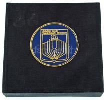 DN "Juhász Gyula - A módszertani közleményekért" egyoldalas, öntött bronz emlékplakett &qu...