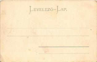 Trencsén, Trencín; látkép. Gansel Lipót 12. / general view (fl)