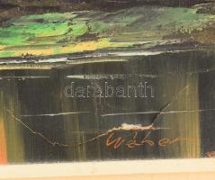 Wéber jelzéssel: Vitorlás. Olaj, vászon. Sérült. Keretben. 30x60 cm