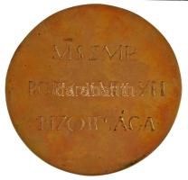 1970. "Hazánk Felszabadulásának 25. évfordulójára / MSZMP Borsod megyei bizottsága" egyold...