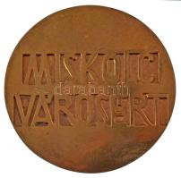 Nagy István János (1938-) DN "Avasi kilátó / Miskolc Városért" kétoldalas, öntött bronz em...