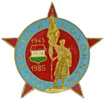 1985. "Dicsőség a hősöknek 1945-1985" aranyozott, műgyantás bronz jelvény (38x40mm) T:AU