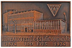 1974. "Budalakk Festék- és Műgyantagyár 100 éves - 1874-1974" egyoldalas, öntött bronz emlékplakett (147x96mm) T:AU