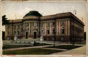 Debrecen, Déri múzeum (szakadások / tears)