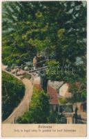 Aninósza, Aninoasa (Hunyad); Suis la fagul urias in gradina lui Iosif Schmieder. I. Ioánovics, fotogr. / park (fl)