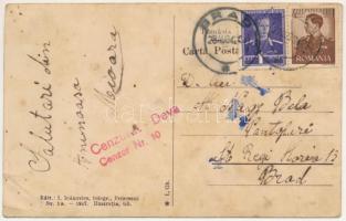 Aninósza, Aninoasa (Hunyad); Suis la fagul urias in gradina lui Iosif Schmieder. I. Ioánovics, fotog...