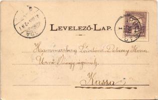 1901 Ipolyság, Sahy; Új utca. Neumann kiadása / street view (EK)