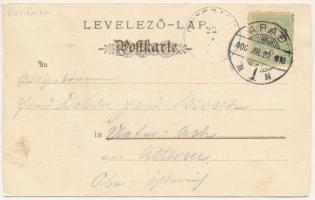 1900 Arad, Andrássy tér. Bloch H. kiadása / square (vágott / cut)