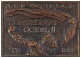 1959. "Világ proletárjai egyesüljetek! - Fegyverbe! Fegyverbe! 1919 - 1959" egyoldalas bronz plakett, hátoldalán felfüggesztéshez szükséges akasztó nyomaival (106x149mm) T:AU,XF