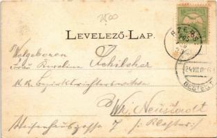 1905 Abaújszántó, Abaúj-Szántó; Római katolikus templom, belső. Blau Herman kiadása (fl)