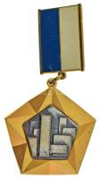 1970. "Az Építőipar Kiváló Dolgozója" aranyozott, részben műgyantás kitüntetés, hátoldalán "Vincze Dénes" gyártói jelzéssel T:AU
