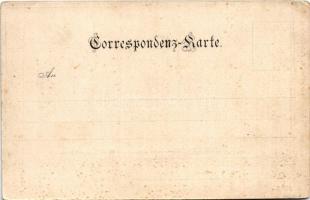 Klosterneuburg, Niedermarkt bei Hochwasser am 15. September 1899. / flood, flooded market square in ...