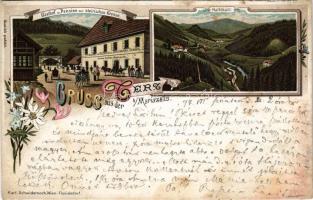 1897 (Vorläufer!) Terz b. Mariazell (Steiermark), Gasthof u. Pension zur steirischen Grenze (Anton Koller Gastwirth), Hallthal / inn and hotel, valley. Karl Schwidernoch Art Nouveau, floral, litho (r)